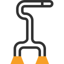 walking-stick-colour